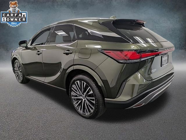 Used 2023 Lexus RX 350 Premium Plus w/ Cold Area Package image 6
