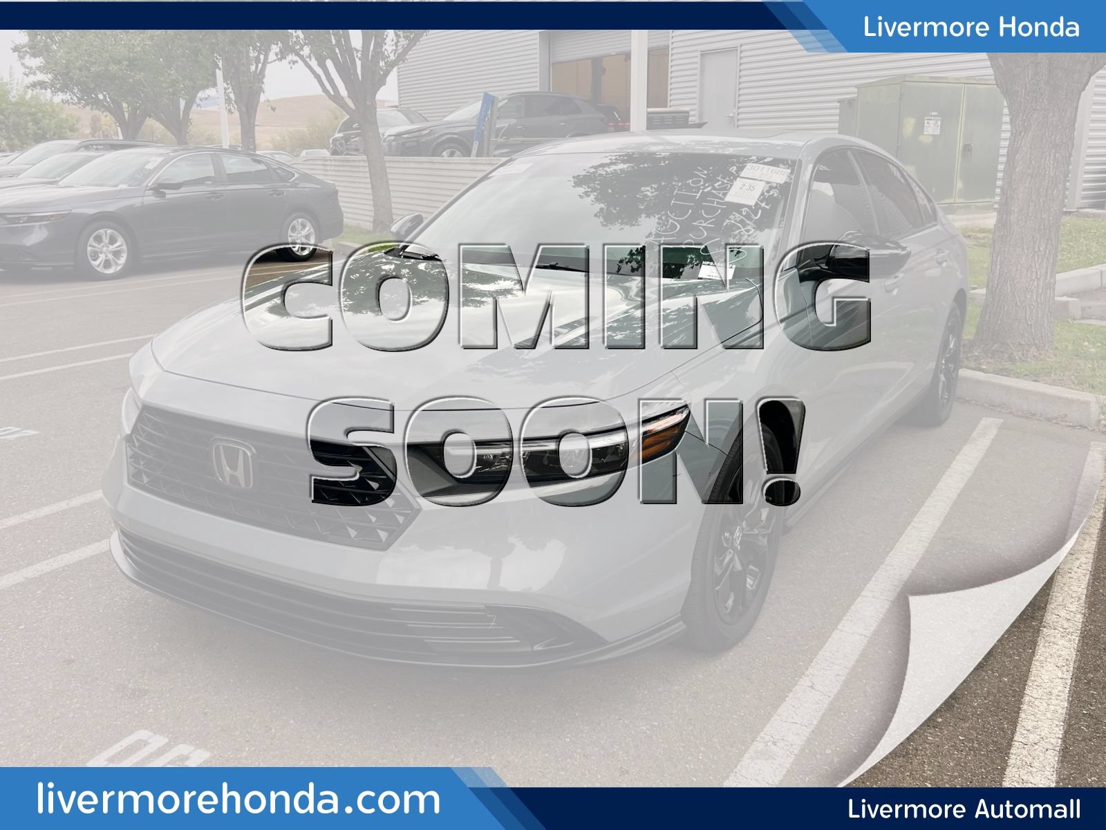 Used 2025 Honda Accord SE