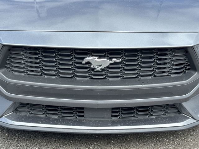 Used 2024 Ford Mustang Premium image 34