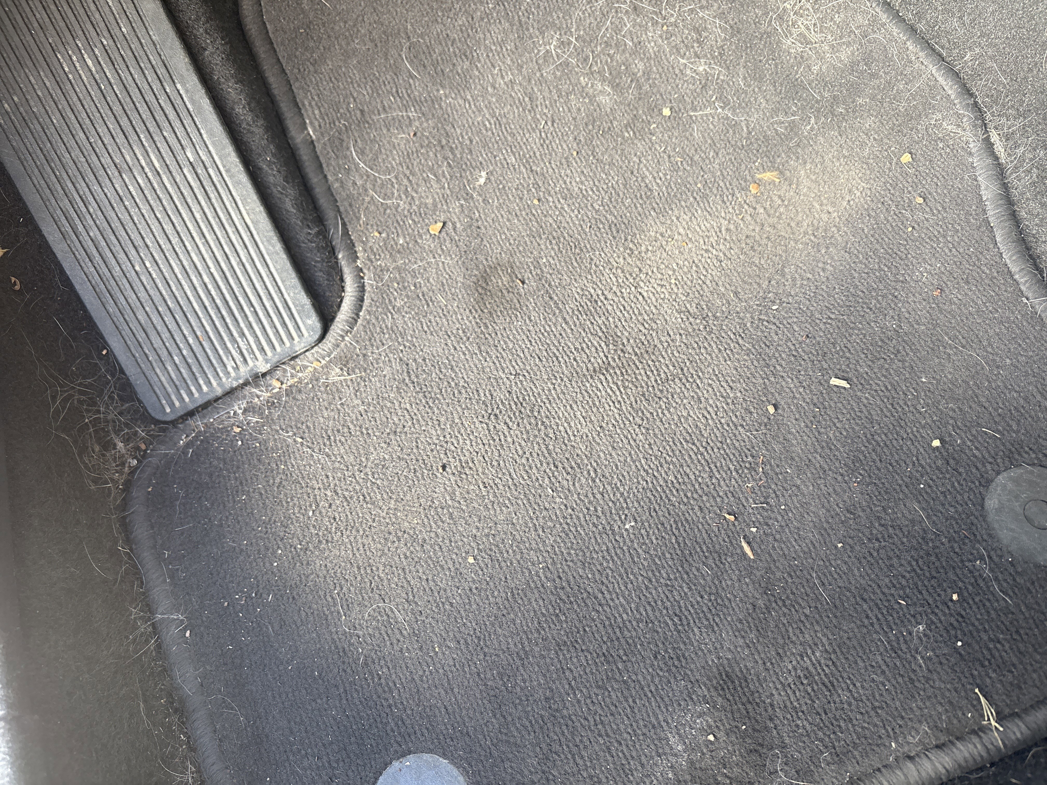 Used 2019 Ford Escape SEL image 16