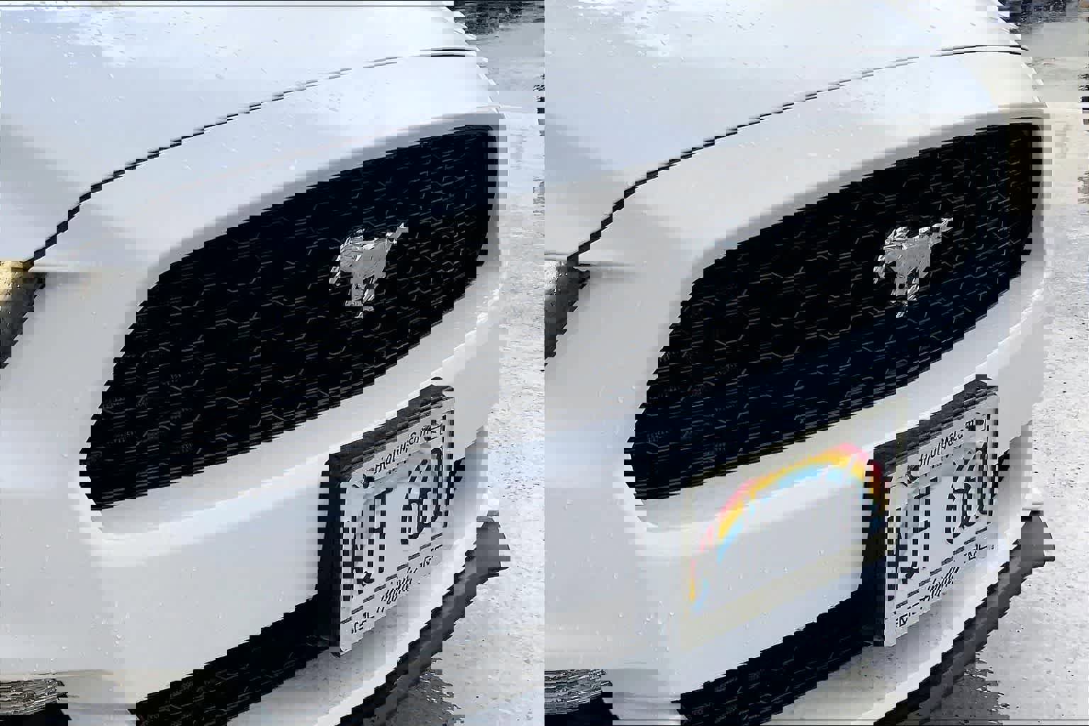 Used 2017 Ford Mustang EcoBoost image 31