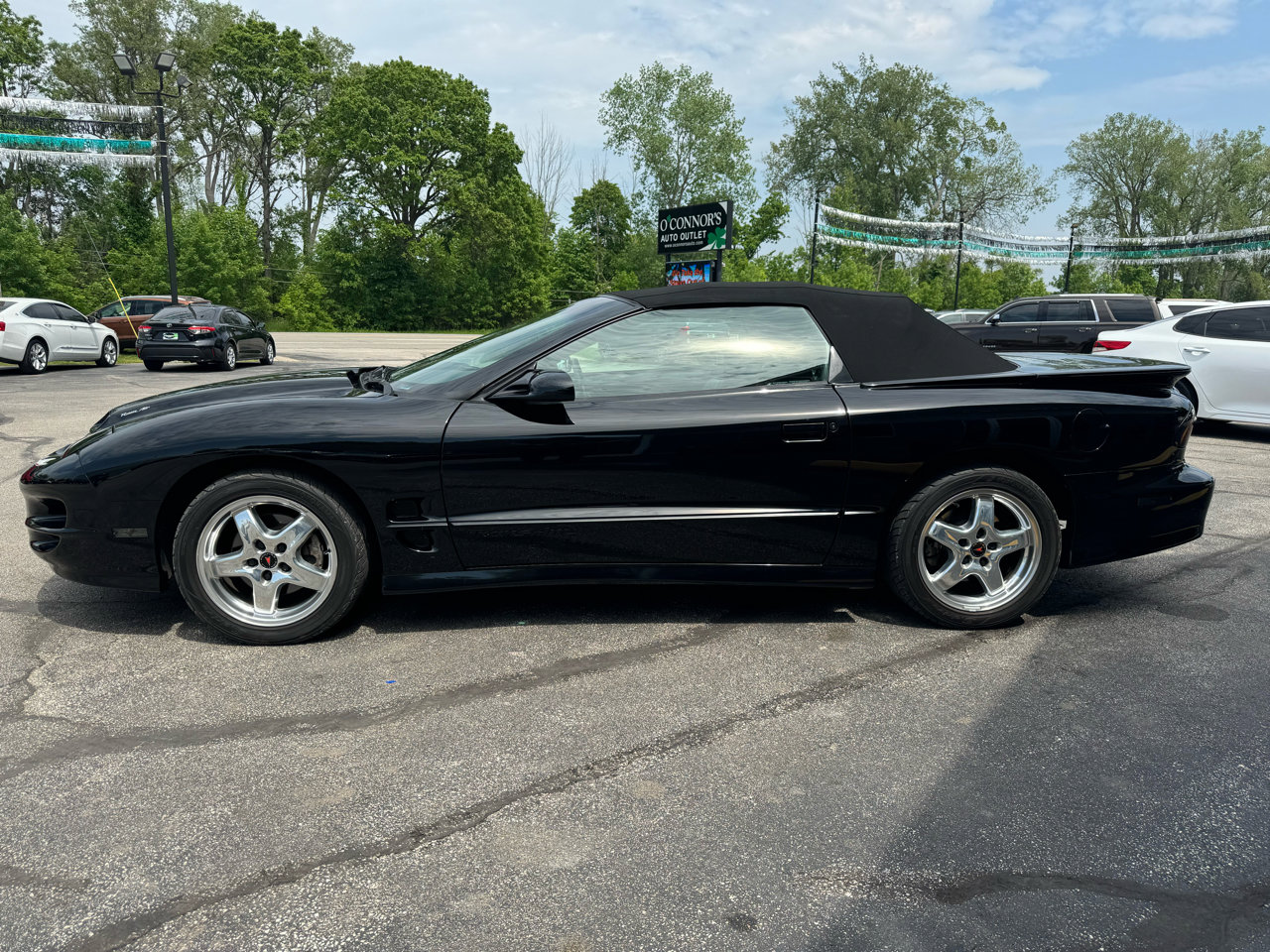 Used 2002 Pontiac Firebird Trans Am image 6