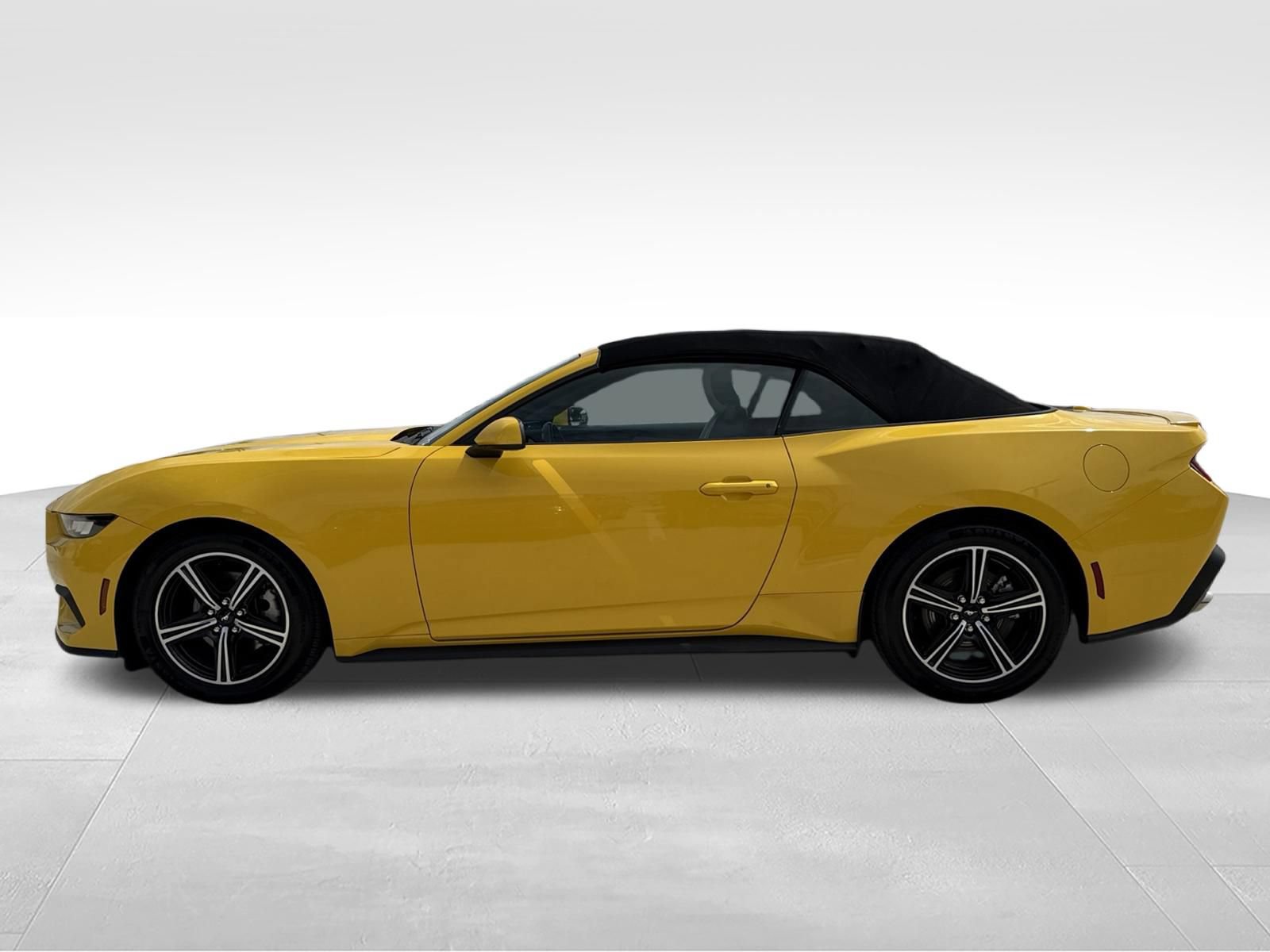 Used 2024 Ford Mustang Premium RWD image 8