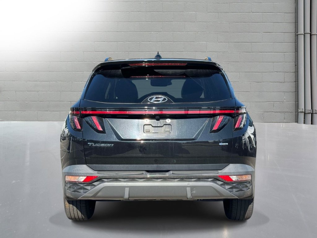 Used 2023 Hyundai Tucson Limited AWD/4WD image 7