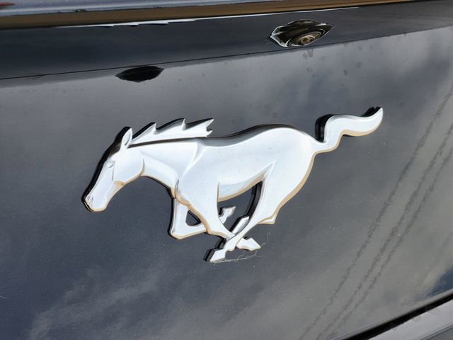 New 2026 Ford Mustang Premium image 11