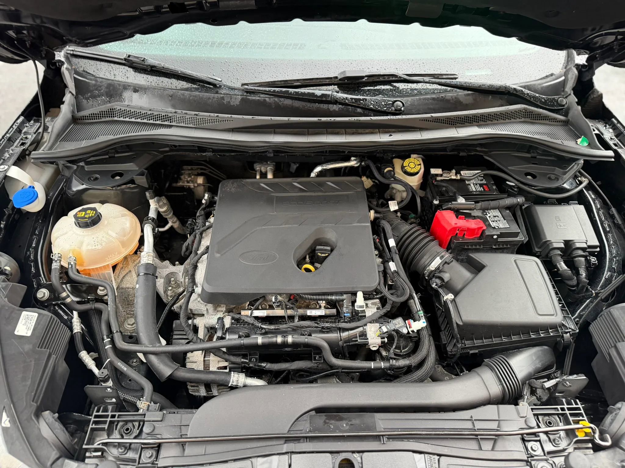 Used 2020 Ford Escape SE image 15