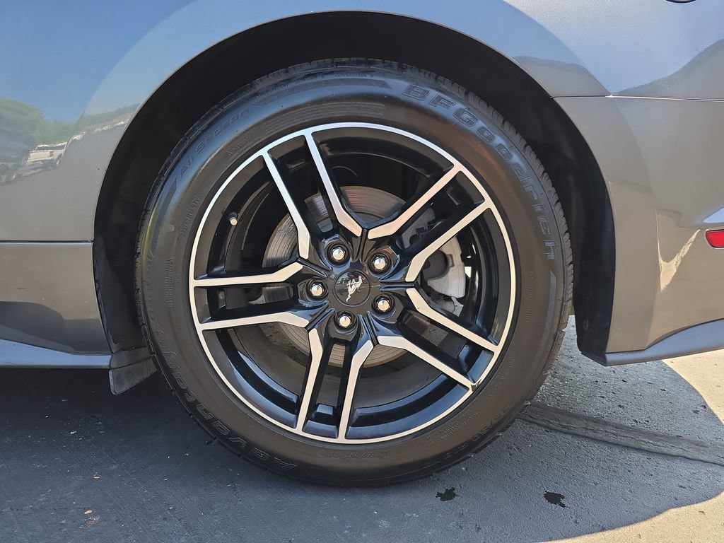 Used 2019 Ford Mustang Premium w/ Ford Safe & Smart Package RWD image 35