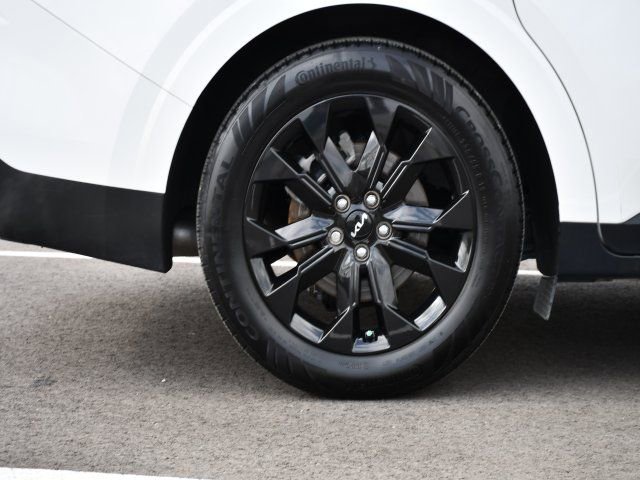 Used 2024 Kia Carnival SX Prestige image 10