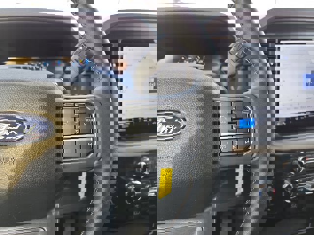 Used 2025 Ford F150 XLT w/ Equipment Group 301A Standard image 19
