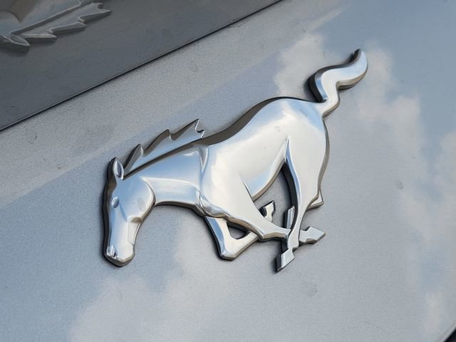 Used 2024 Ford Mustang Coupe image 7