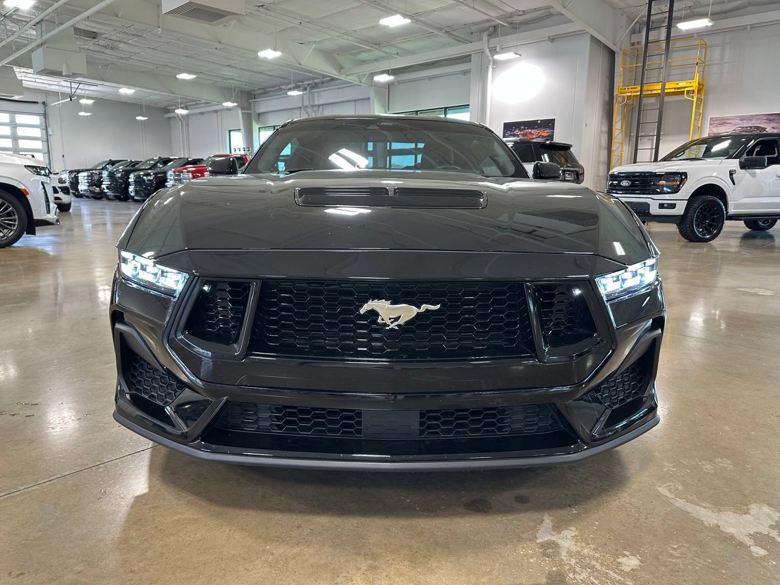 Used 2024 Ford Mustang GT Premium RWD image 2