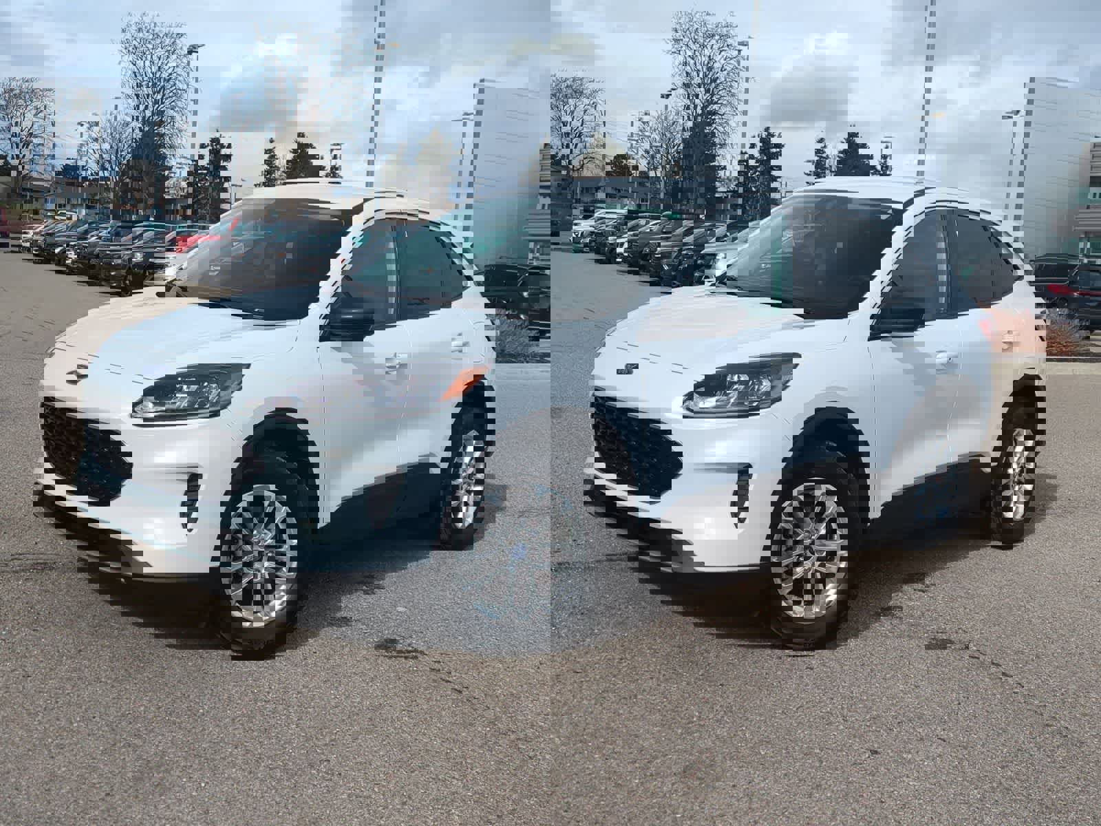 Used 2022 Ford Escape SE w/ Convenience Package image 1