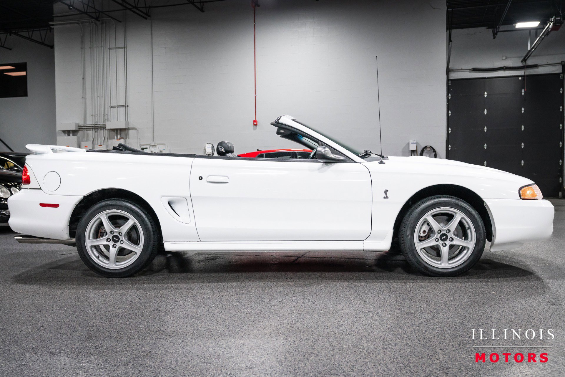 Used 1998 Ford Mustang Cobra RWD image 6