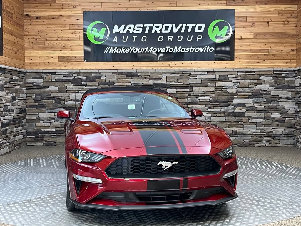 Used 2019 Ford Mustang Convertible w/ Equipment Group 101A RWD image 2