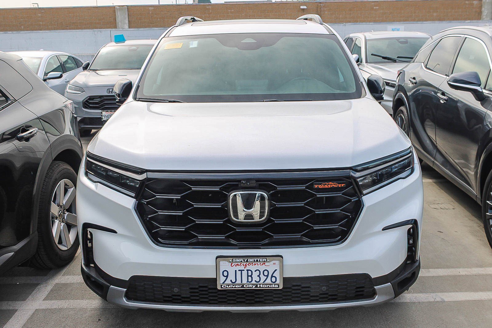 Used 2024 Honda Pilot TrailSport image 2