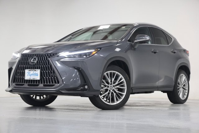 Used 2026 Lexus NX 350h AWD w/ Luxury Package image 8