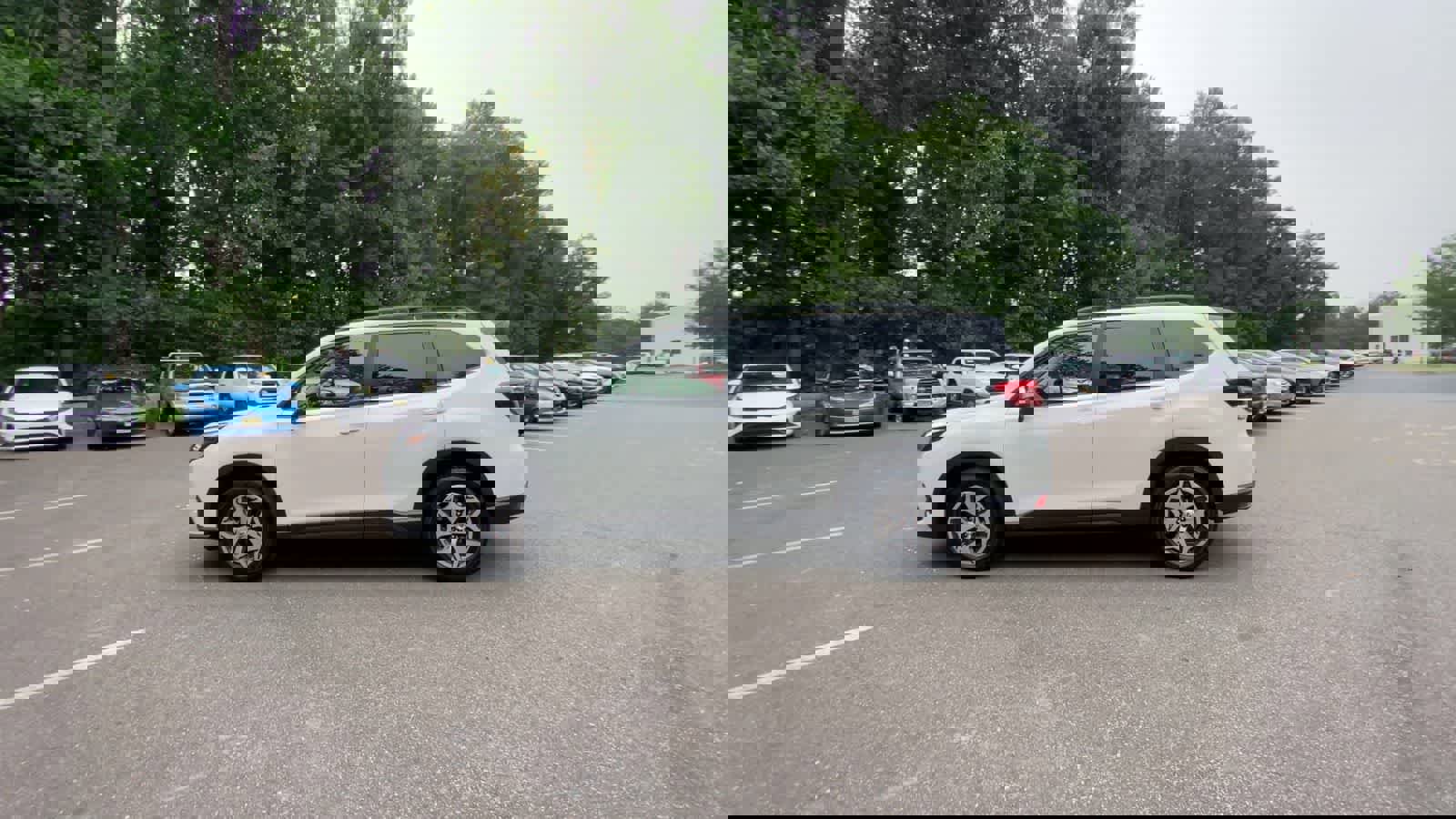 Used 2024 Subaru Forester Premium image 5