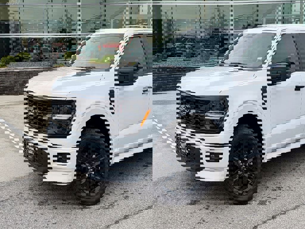 New 2025 Ford F150 STX w/ LOBO Package image 2