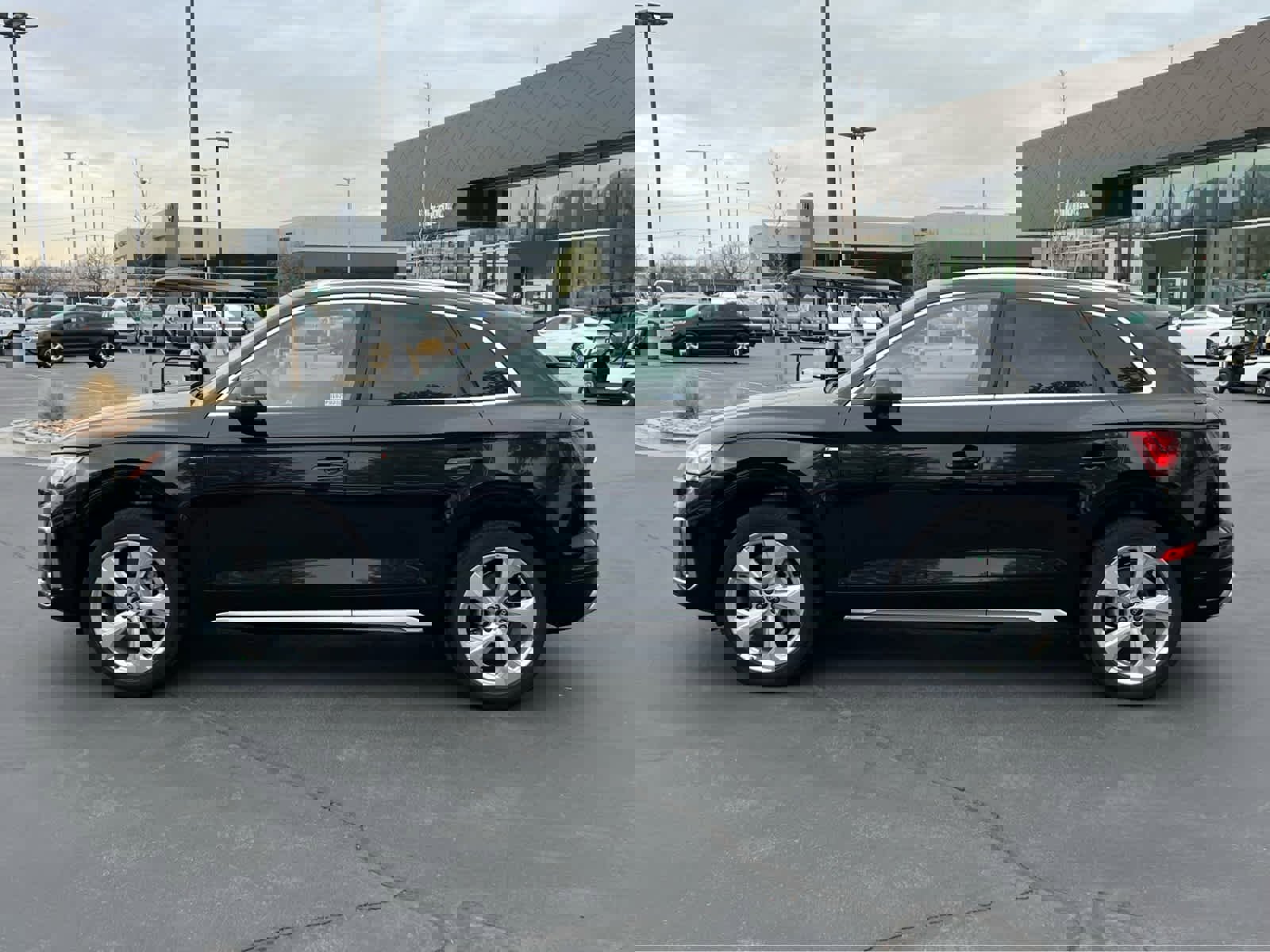 Used 2023 Audi Q5 2.0T Premium Plus w/ Premium Plus Package image 12