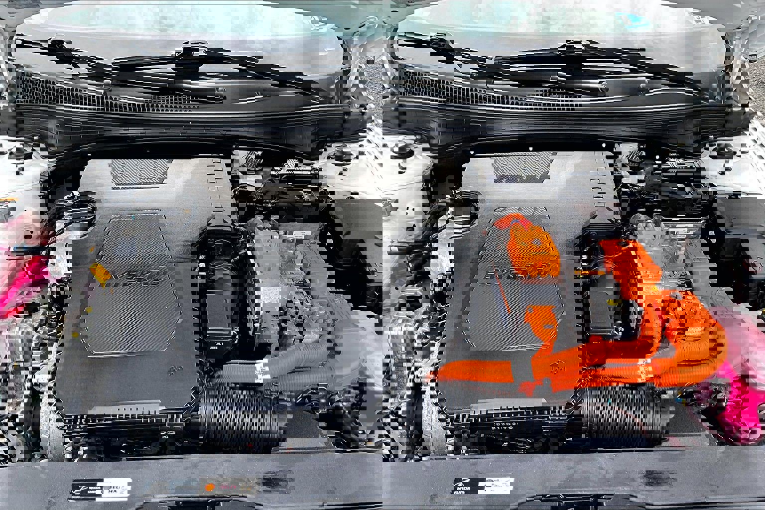 Used 2023 Hyundai Elantra Limited image 10