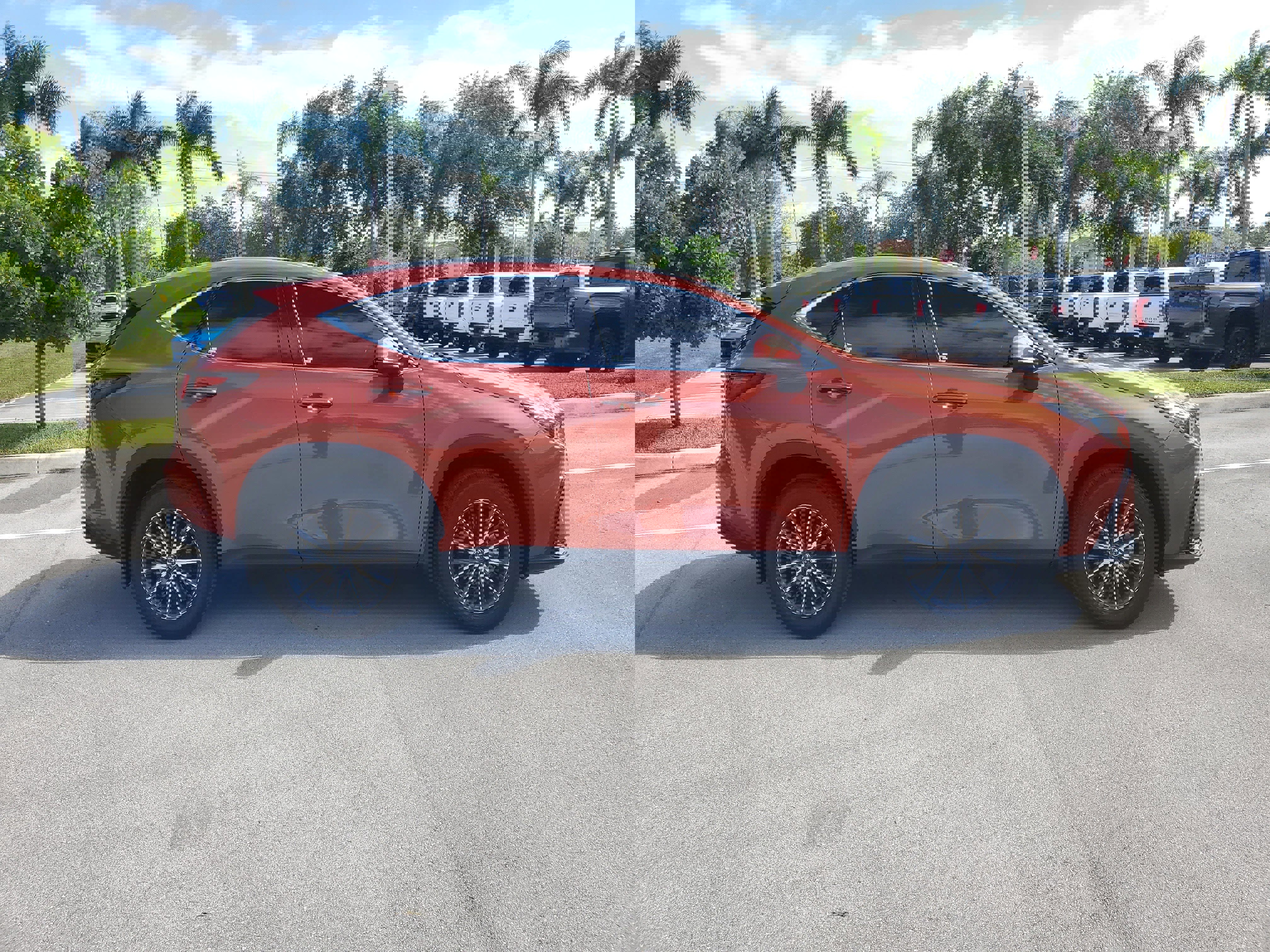 Used 2024 Lexus NX 250 FWD image 12