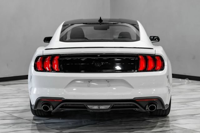 Used 2023 Ford Mustang Premium w/ Mustang Nite Pony Package RWD image 11