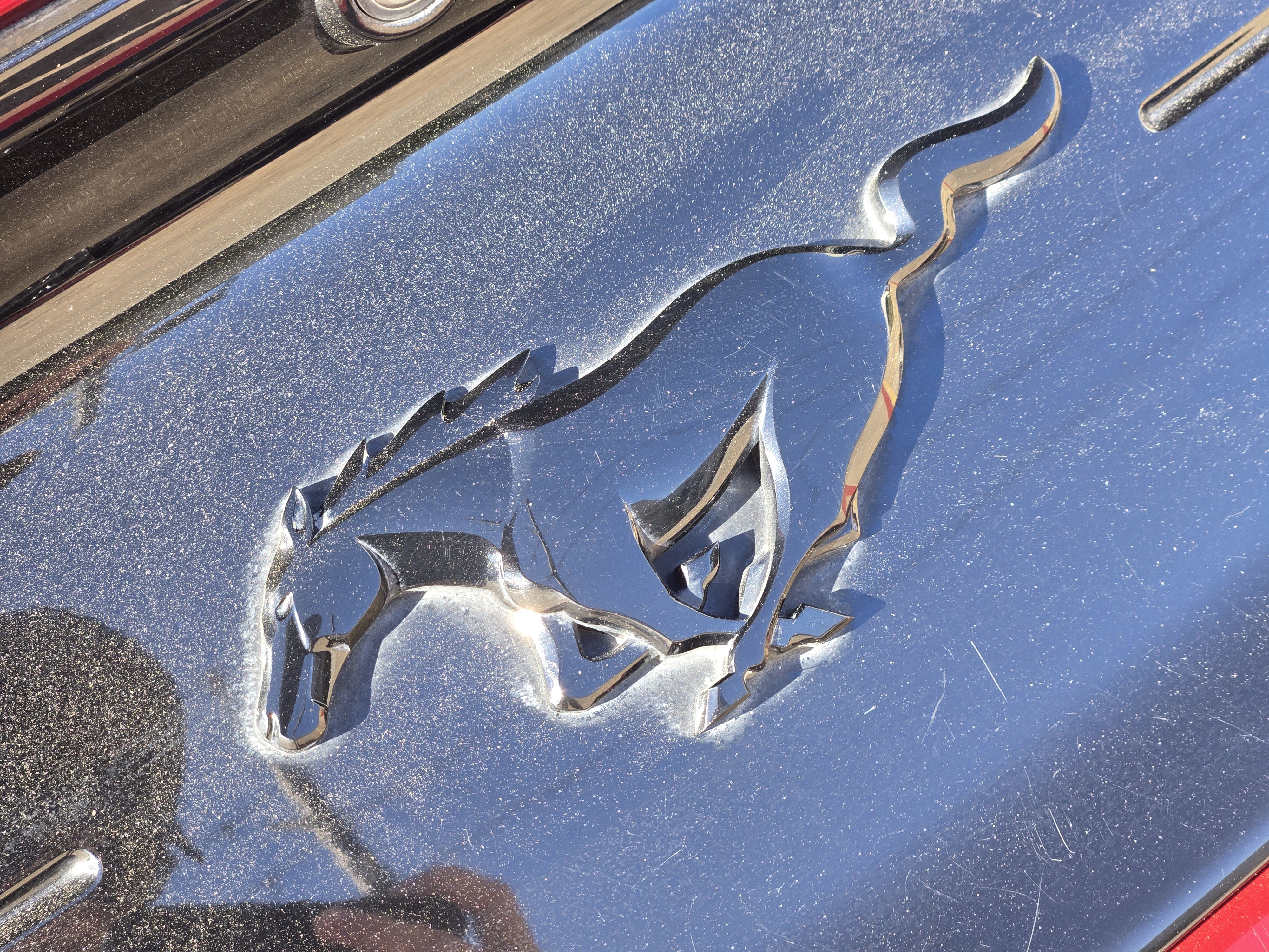 Certified 2021 Ford Mustang EcoBoost w/ Equipment Group 101A image 8