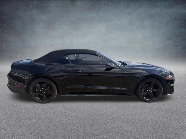 Used 2019 Ford Mustang Premium RWD image 5