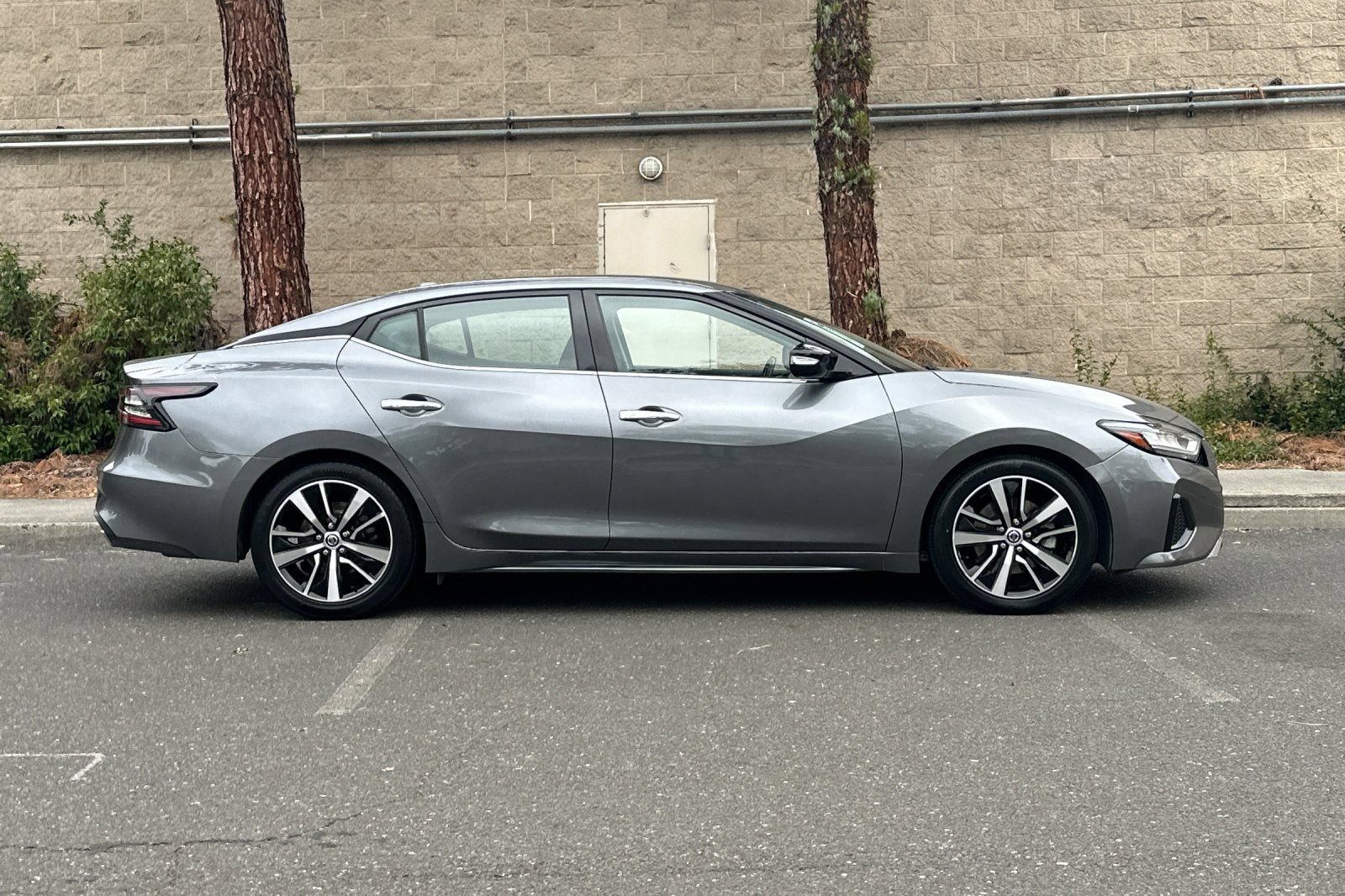 Used 2021 Nissan Maxima 3.5 SV w/ Floor Mat Group FWD image 2