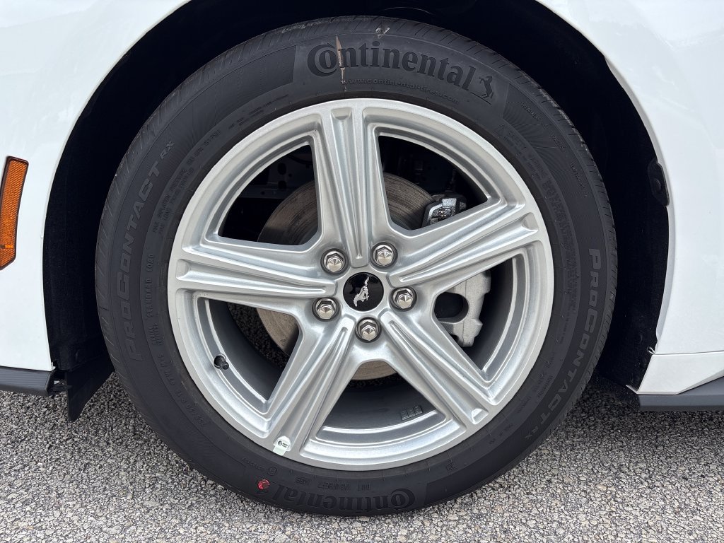 New 2026 Ford Mustang Premium RWD image 13