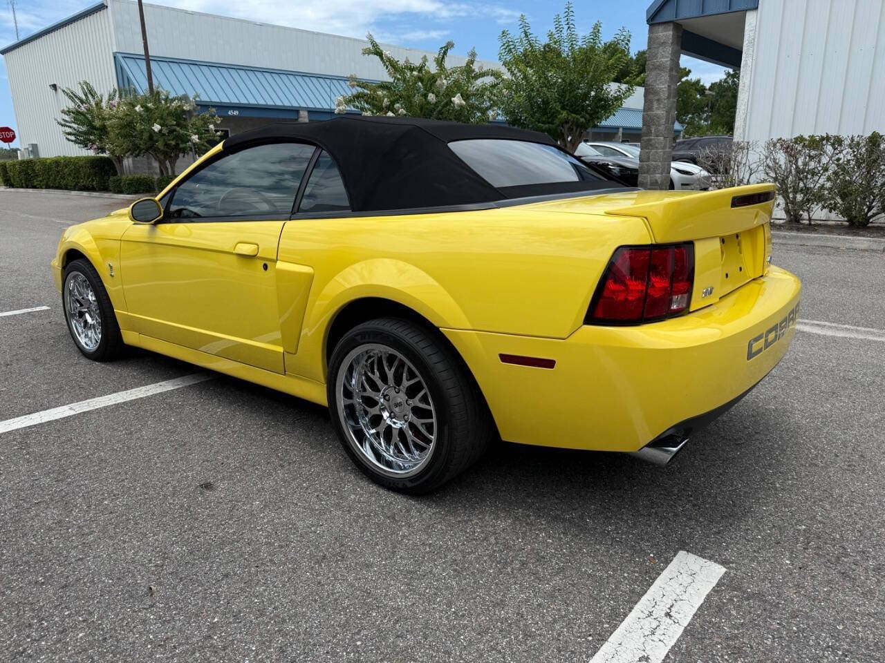 Used 2003 Ford Mustang Cobra RWD image 5