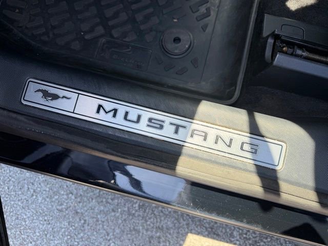 Used 2021 Ford Mustang Mach-E Premium AWD/4WD image 14