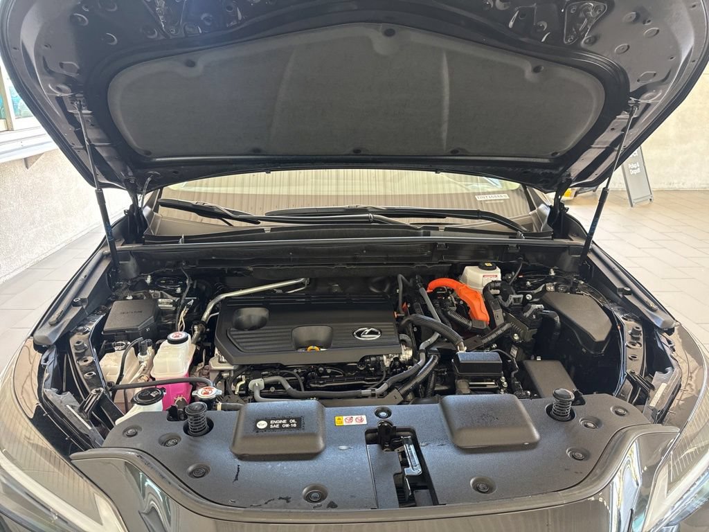 Used 2024 Lexus NX 350h AWD w/ Cold Area Package image 18