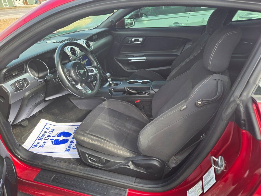 Used 2019 Ford Mustang EcoBoost w/ Equipment Group 101A image 6