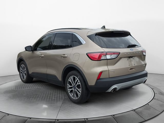 Used 2020 Ford Escape SEL FWD image 3