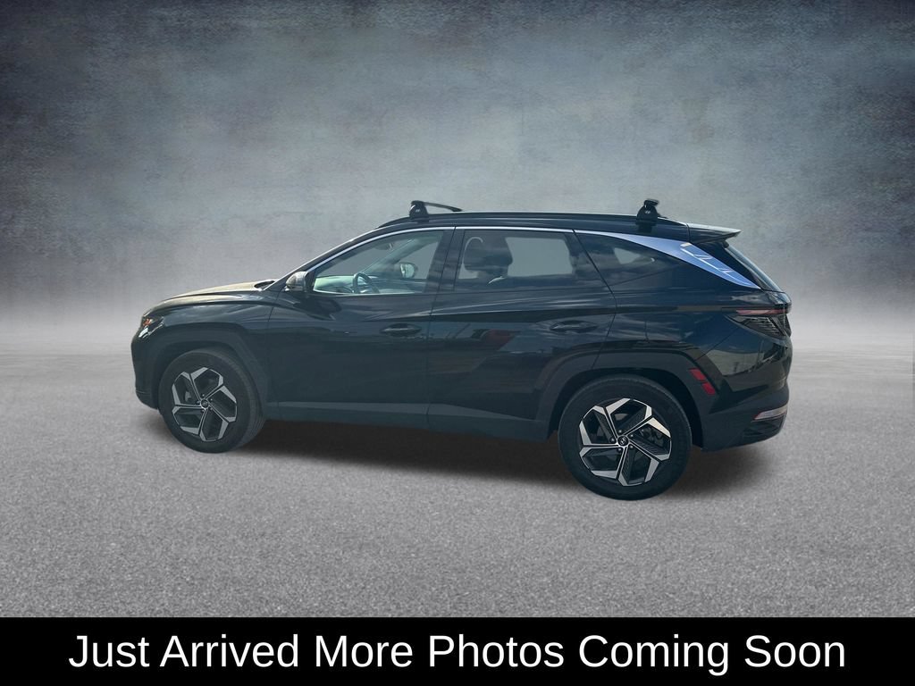 Used 2023 Hyundai Tucson Limited AWD/4WD image 2
