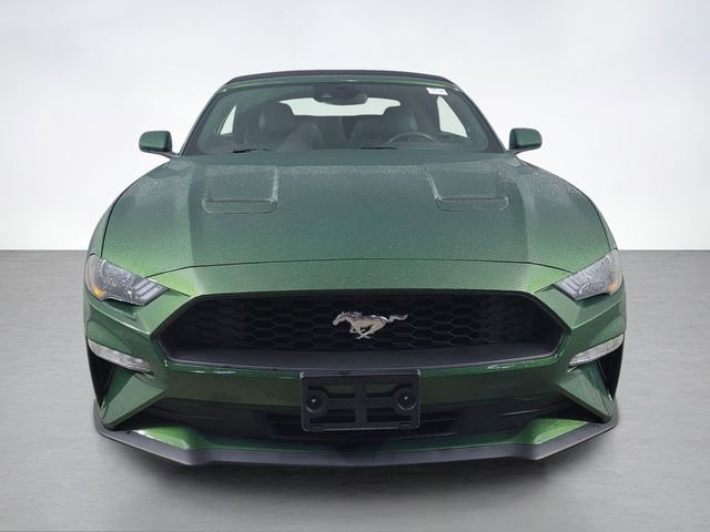 Certified 2023 Ford Mustang Premium image 8