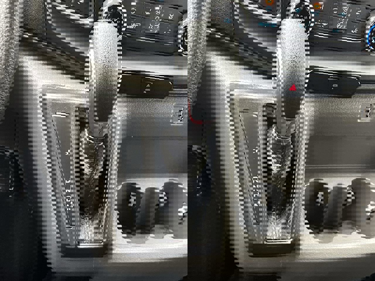 Used 2024 Ford Transit 250 Low Roof w/ Exterior Upgrade Package image 18