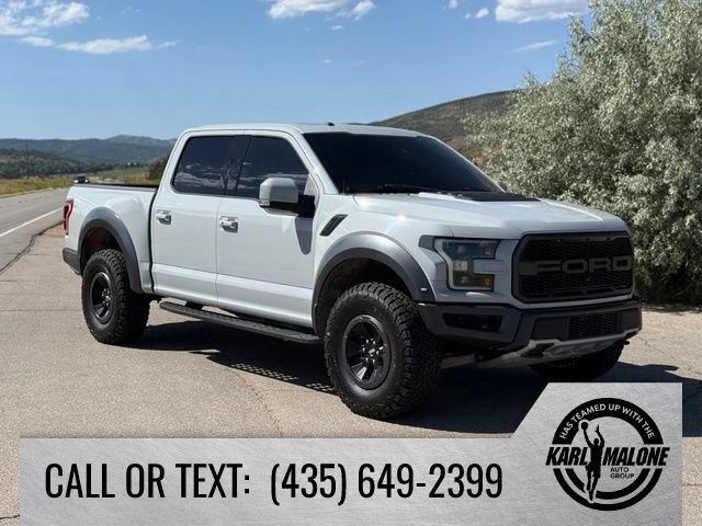 Used 2017 Ford F150 Raptor w/ Equipment Group 802A Luxury AWD/4WD image 8