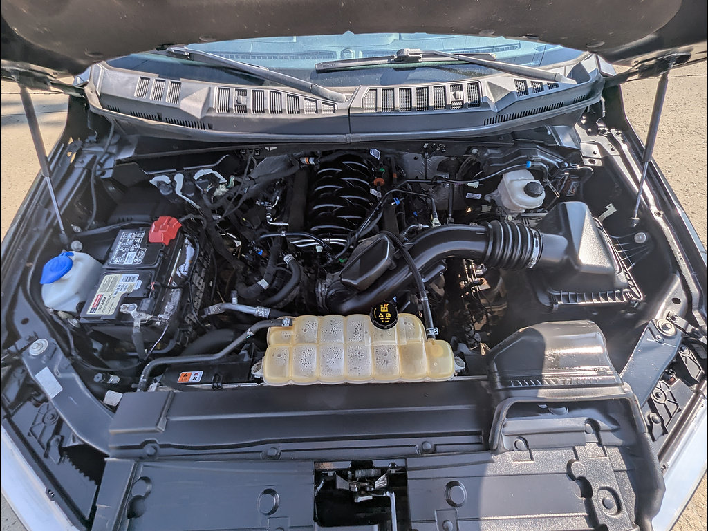 Used 2019 Ford F150 XLT w/ Equipment Group 302A Luxury AWD/4WD image 19