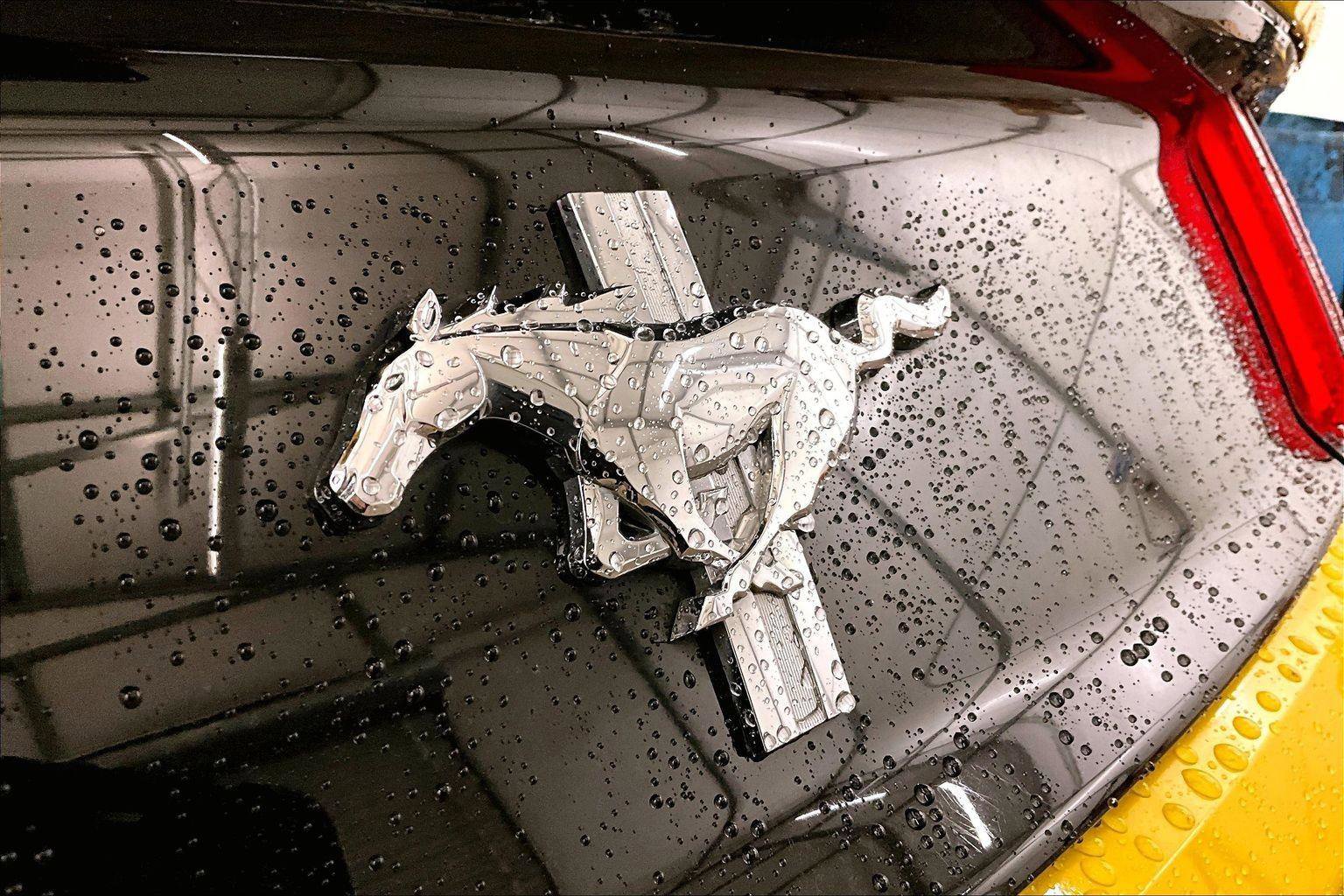 Used 2017 Ford Mustang Convertible w/ Equipment Group 051A image 13