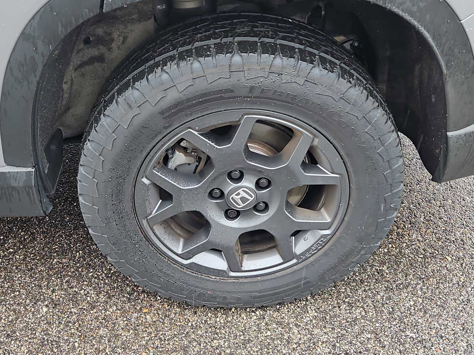 Certified 2025 Honda Pilot TrailSport image 3