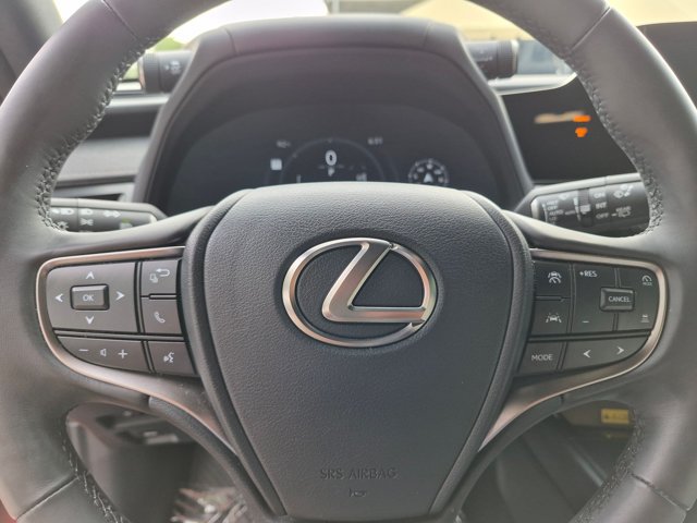 Used 2025 Lexus UX 300h FWD w/ Cold Area Package image 12