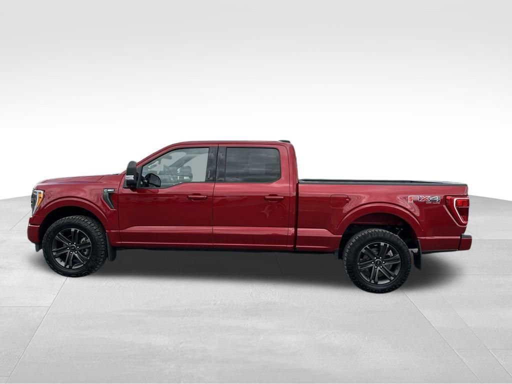 Used 2022 Ford F150 XLT w/ Equipment Group 302A High AWD/4WD image 13