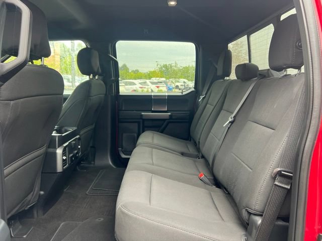Used 2019 Ford F150 XLT w/ Equipment Group 302A Luxury AWD/4WD image 16