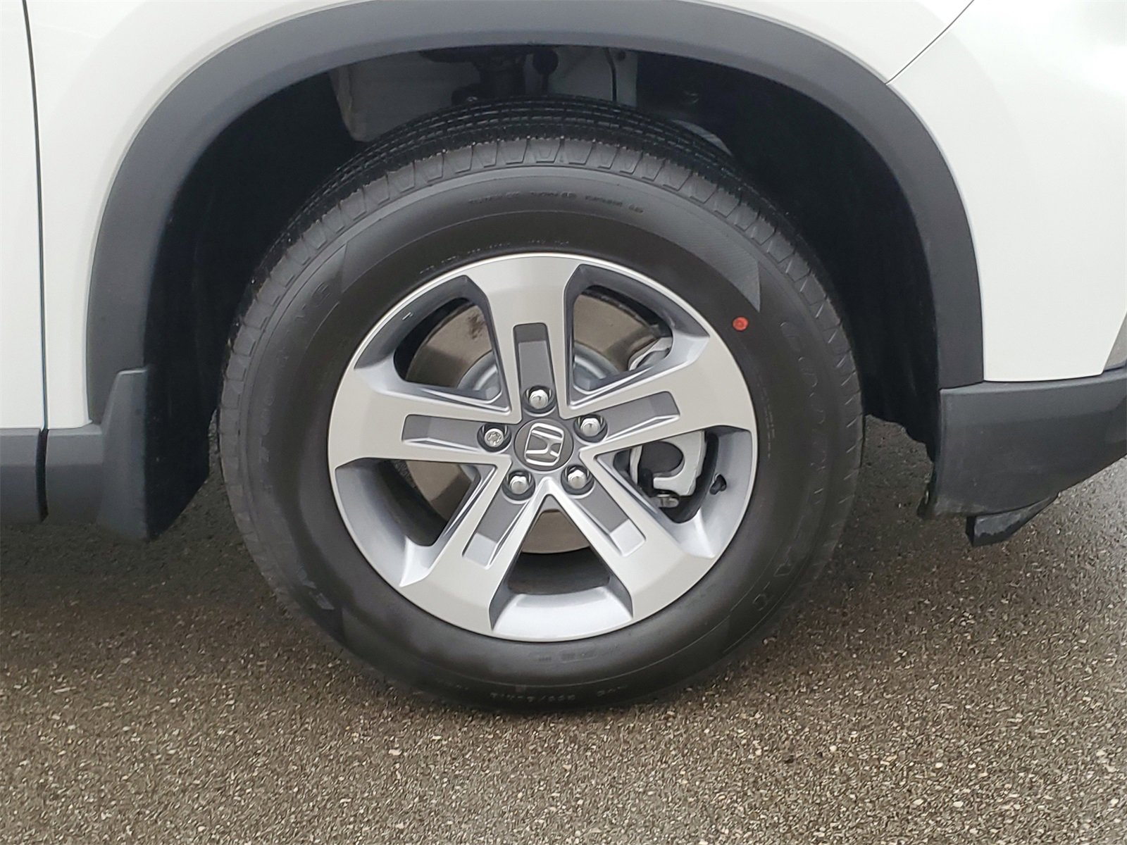 Used 2025 Honda Pilot EX-L image 6