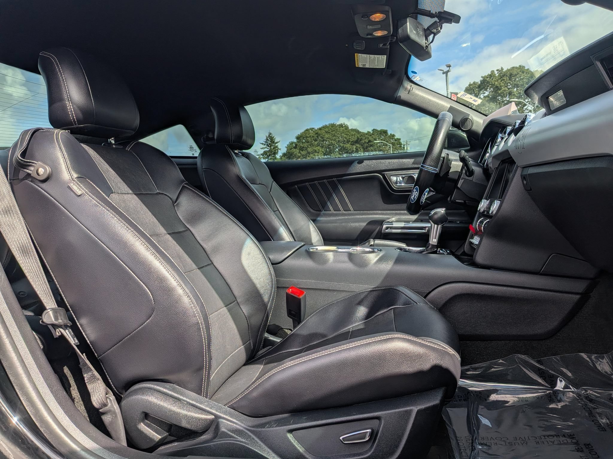 Used 2016 Ford Mustang Premium w/ Equipment Group 201A RWD image 6