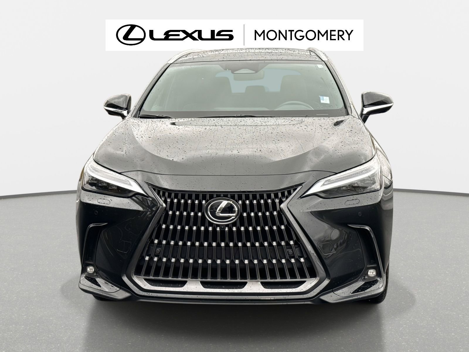Used 2025 Lexus NX 300h AWD w/ Luxury Package image 9