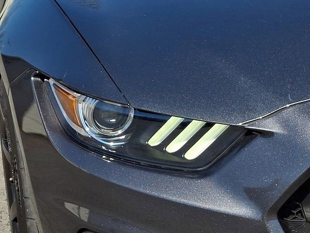 Used 2019 Ford Mustang Shelby GT350R w/ GT350R Equipment Group 920A image 9