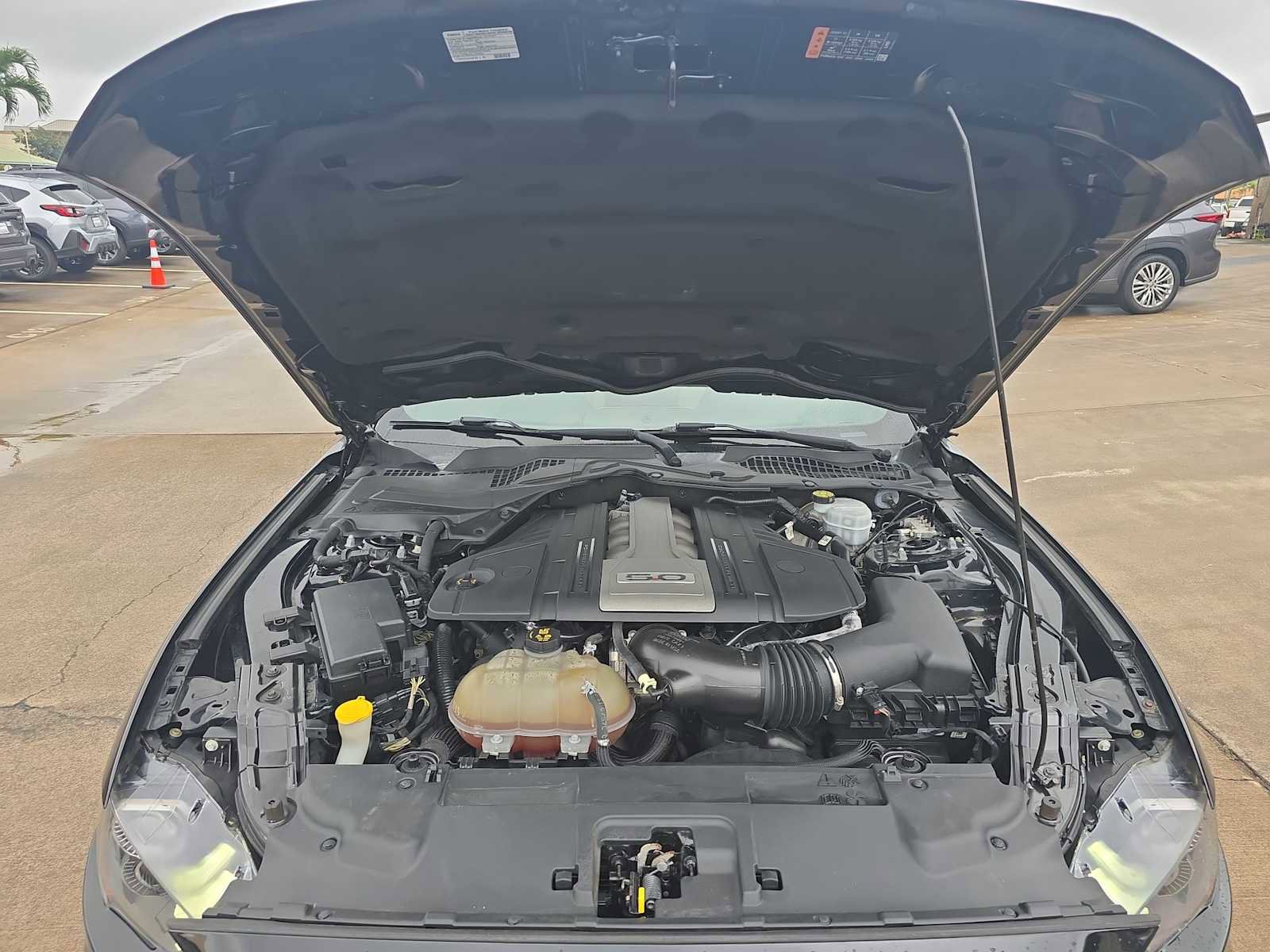 Used 2019 Ford Mustang GT Premium w/ Enhanced Security Package image 18